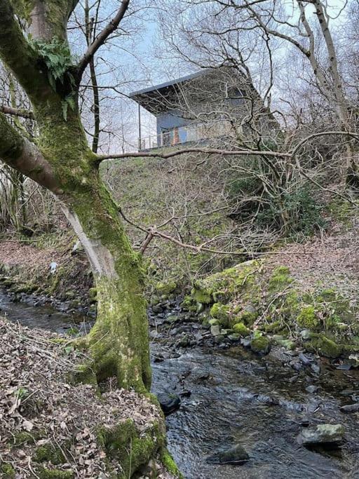 Luxury Lodge In The Treetops Llanbrynmair Zewnętrze zdjęcie