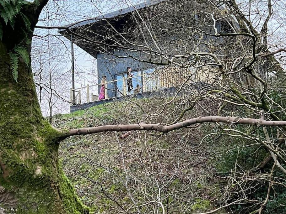 Luxury Lodge In The Treetops Llanbrynmair Zewnętrze zdjęcie