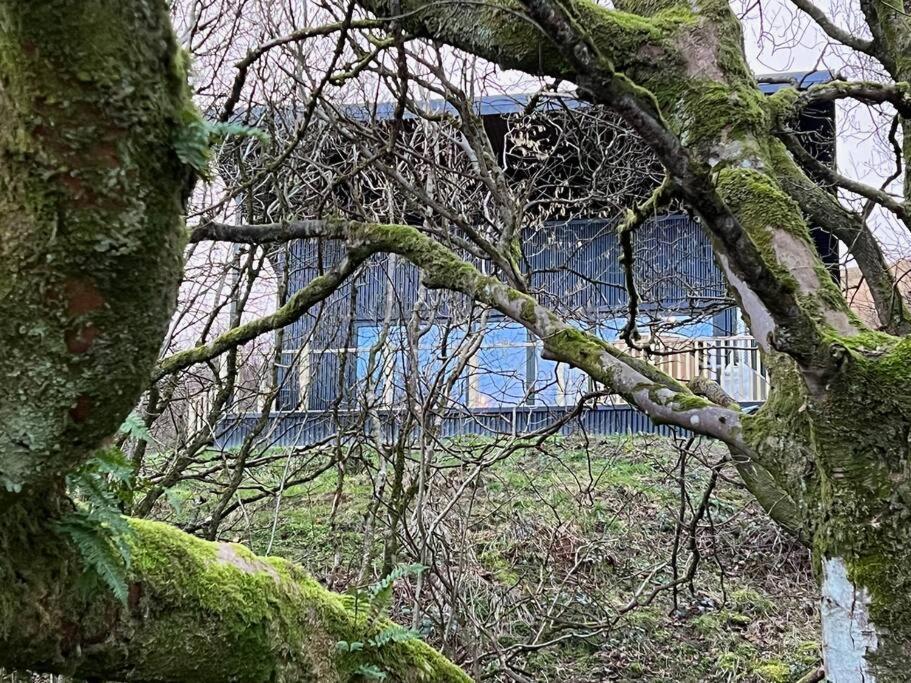 Luxury Lodge In The Treetops Llanbrynmair Zewnętrze zdjęcie